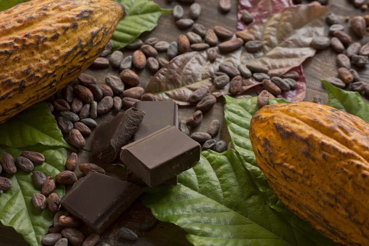 Gli scarti del cacao in sostituzione dello zucchero per un cioccolato più sano: la ricerca rivoluzionaria