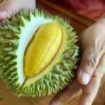 durian-caffe-legame-vietnam-prezzo.jpg