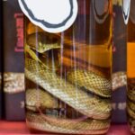 habushu-liquore-serpente.jpg