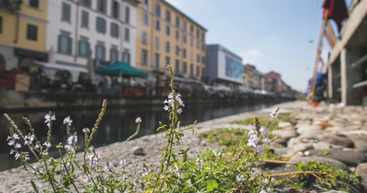 Sbarazzarsi dei Navigli? Un sogno per tutto il ‘900. Noi invece abbiamo proposto di riaprirli