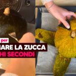 thumb-trucchetto-zucca-YT_rev1.jpeg