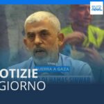 Video. Le notizie del giorno | 17 ottobre – Serale