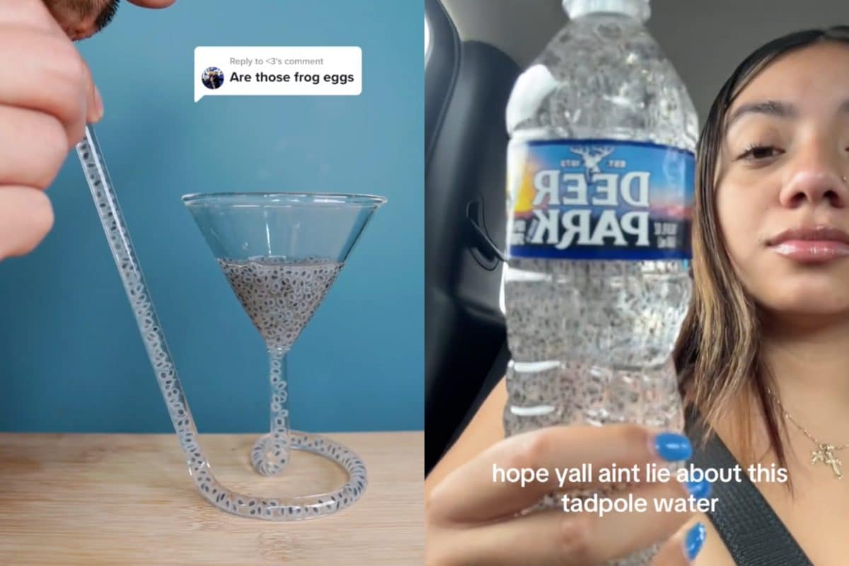 È arrivata un’altra mania poco salutare da TikTok: l’acqua del girino